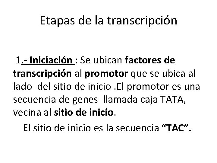 Etapas de la transcripción 1. - Iniciación : Se ubican factores de transcripción al
