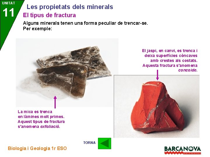 UNITAT 11 3 Les propietats dels minerals El tipus de fractura Alguns minerals tenen