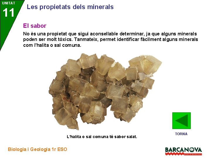 UNITAT 11 3 Les propietats dels minerals El sabor No és una propietat que