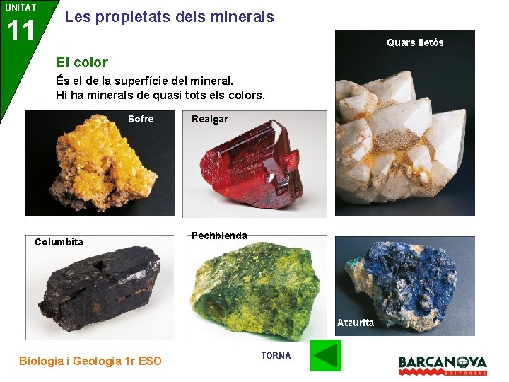 UNITAT 11 3 Les propietats dels minerals Quars lletós El color És el de