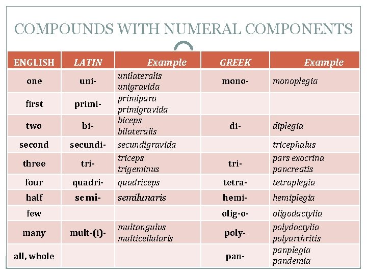 COMPOUNDS WITH NUMERAL COMPONENTS ENGLISH LATIN one uni- first primi- two bi- second secundi- COMPOUNDS WITH NUMERAL COMPONENTS ENGLISH LATIN one uni- first primi- two bi- second secundi-