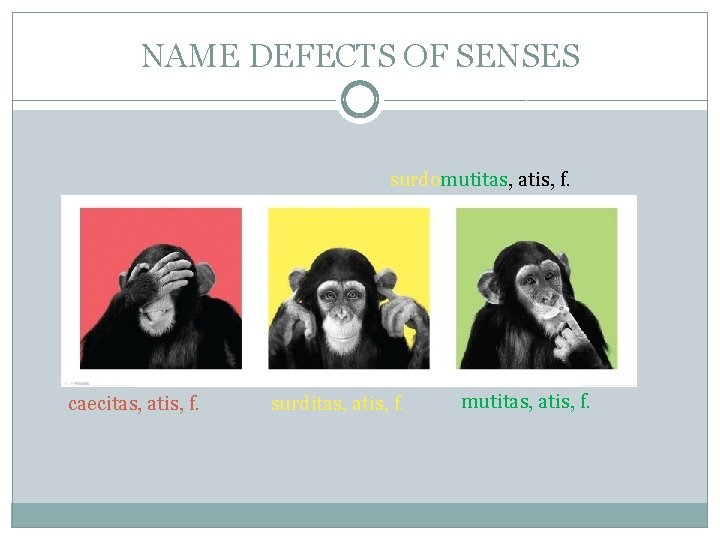 NAME DEFECTS OF SENSES surdomutitas, atis, f. caecitas, atis, f. surditas, atis, f. mutitas, NAME DEFECTS OF SENSES surdomutitas, atis, f. caecitas, atis, f. surditas, atis, f. mutitas,