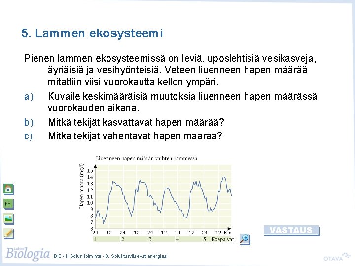 5. Lammen ekosysteemi Pienen lammen ekosysteemissä on leviä, uposlehtisiä vesikasveja, äyriäisiä ja vesihyönteisiä. Veteen