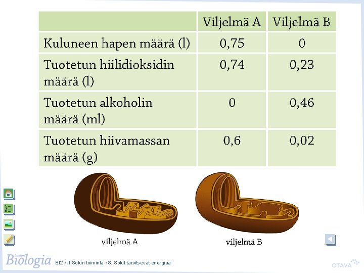 BI 2 • II Solun toiminta • 8. Solut tarvitsevat energiaa 