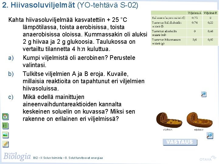 2. Hiivasoluviljelmät (YO-tehtävä S-02) Kahta hiivasoluviljelmää kasvatettiin + 25 °C lämpötilassa, toista aerobisissa, toista