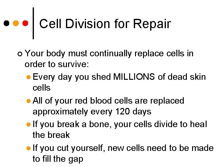 Cell Division for Repair ¢ Your body must continually replace cells in order to