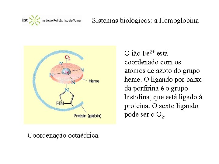Sistemas biológicos: a Hemoglobina O ião Fe 2+ está coordenado com os átomos de