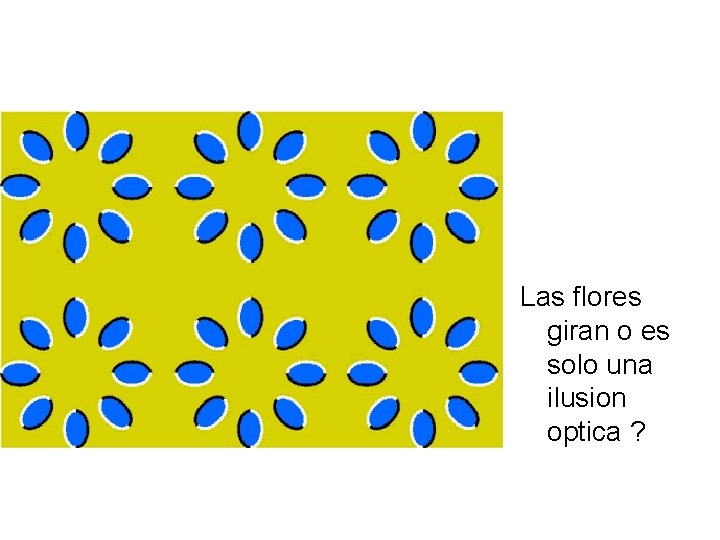 Las flores giran o es solo una ilusion optica ? 