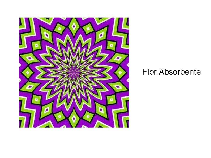 Flor Absorbente 