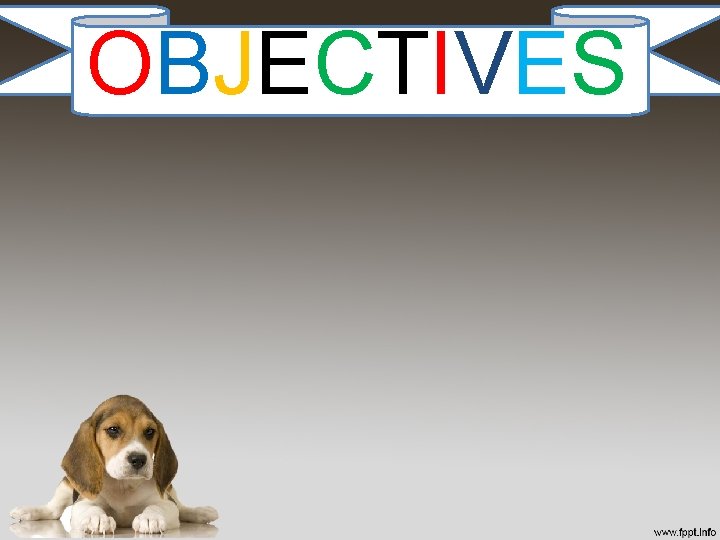 OBJECTIVES OBJECTIVES