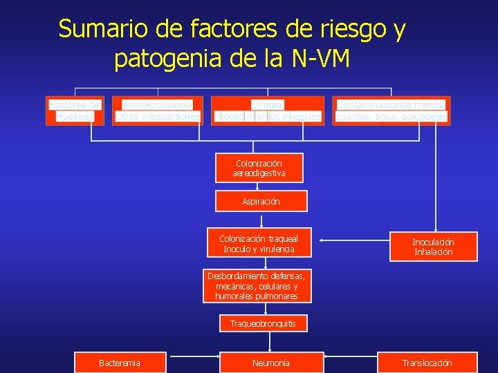 Sumario de factores de riesgo y patogenia de la N-VM Colonización aereodigestiva Aspiración Colonización