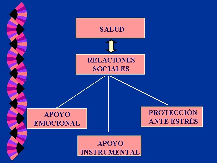 SALUD RELACIONES SOCIALES PROTECCIÓN ANTE ESTRÉS APOYO EMOCIONAL APOYO INSTRUMENTAL SALUD RELACIONES SOCIALES PROTECCIÓN ANTE ESTRÉS APOYO EMOCIONAL APOYO INSTRUMENTAL