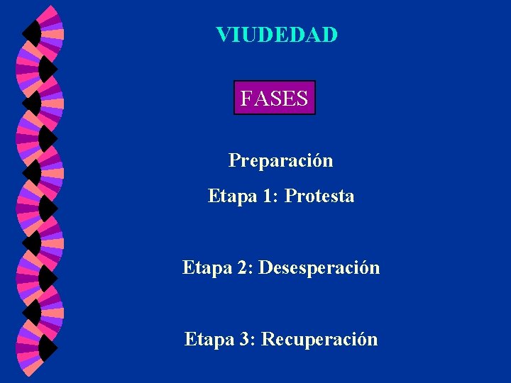 VIUDEDAD FASES Preparación Etapa 1: Protesta Etapa 2: Desesperación Etapa 3: Recuperación VIUDEDAD FASES Preparación Etapa 1: Protesta Etapa 2: Desesperación Etapa 3: Recuperación