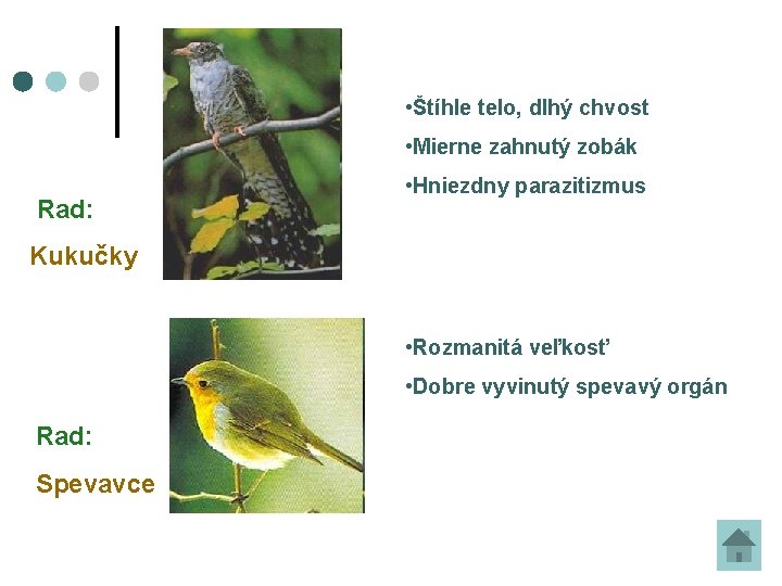  • Štíhle telo, dlhý chvost • Mierne zahnutý zobák Rad: • Hniezdny parazitizmus