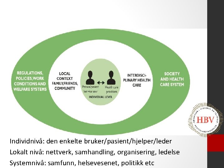 Individnivå: den enkelte bruker/pasient/hjelper/leder Lokalt nivå: nettverk, samhandling, organisering, ledelse Systemnivå: samfunn, helsevesenet, politikk