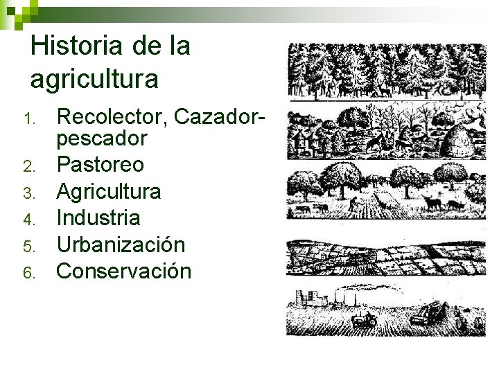 Historia de la agricultura 1. 2. 3. 4. 5. 6. Recolector, Cazadorpescador Pastoreo Agricultura