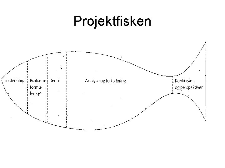 Projektfisken Projektfisken