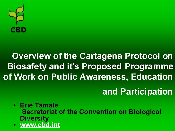CBD Overview of the Cartagena Protocol on Biosafety and it's Proposed Programme of Work