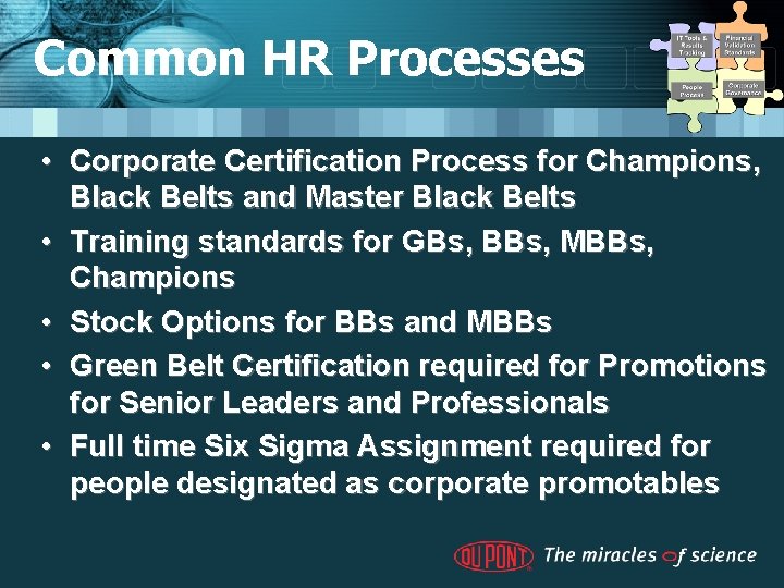 Common HR Processes • Corporate Certification Process for Champions, Black Belts and Master Black