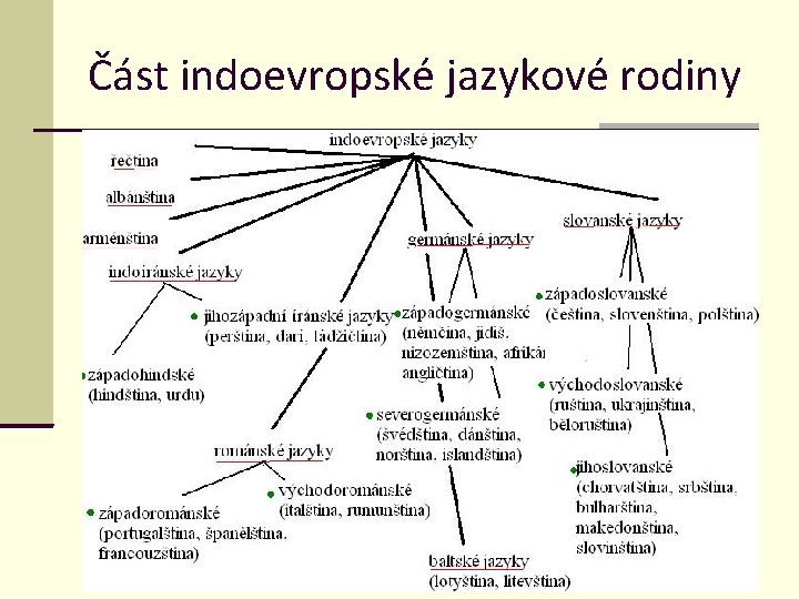 Část indoevropské jazykové rodiny 