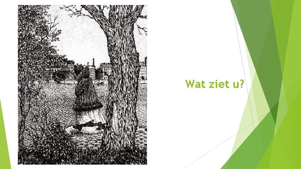 Wat ziet u? Wat ziet u?