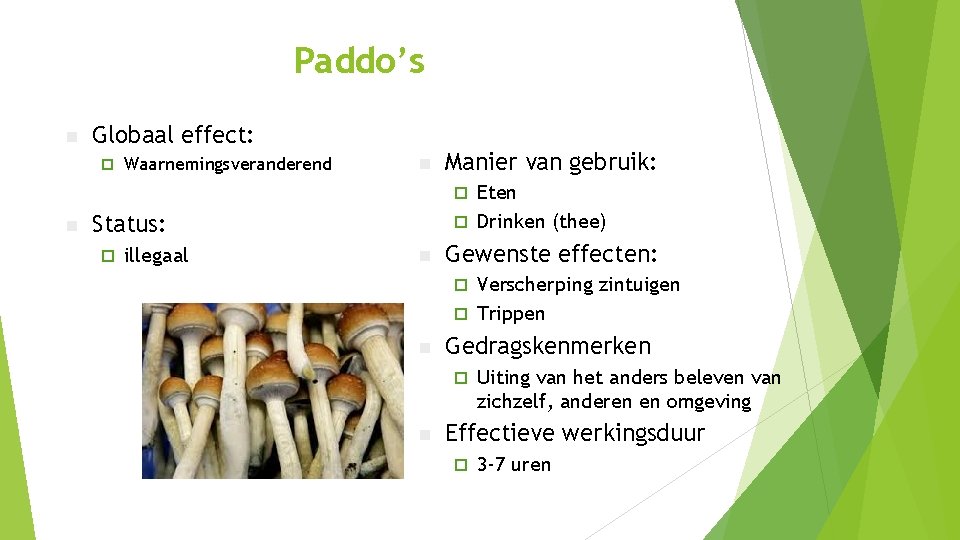 Paddo’s n Globaal effect: ¨ Waarnemingsveranderend n Manier van gebruik: Eten ¨ Drinken (thee) Paddo’s n Globaal effect: ¨ Waarnemingsveranderend n Manier van gebruik: Eten ¨ Drinken (thee)