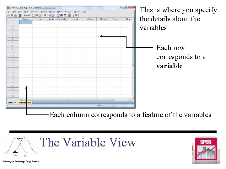 This is where you specify the details about the variables Each row corresponds to