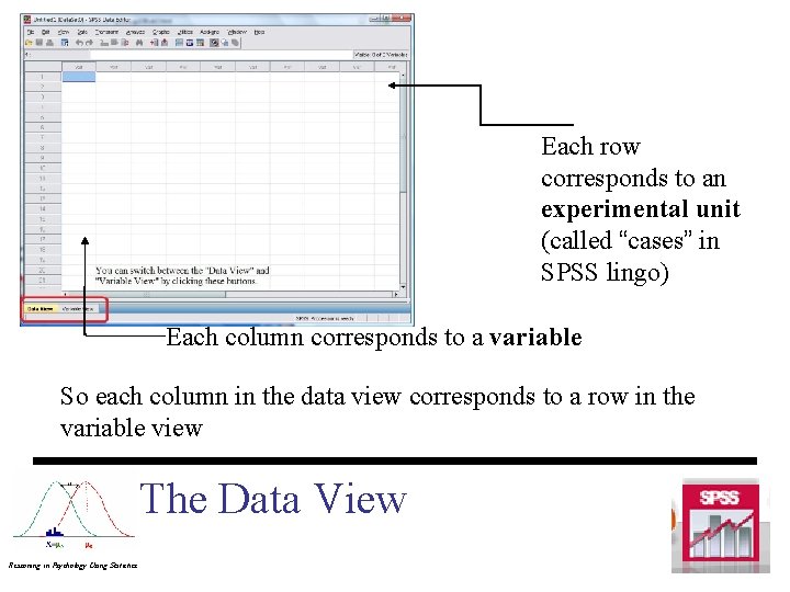 Each row corresponds to an experimental unit (called “cases” in SPSS lingo) Each column