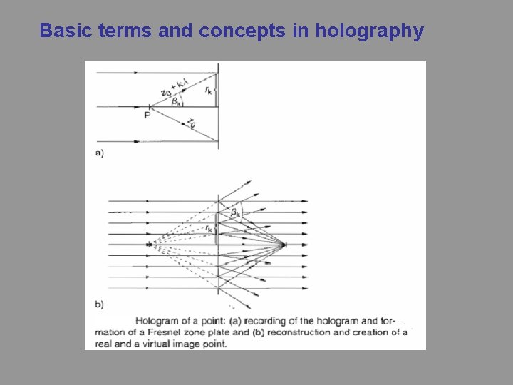 Basic terms and concepts in holography 