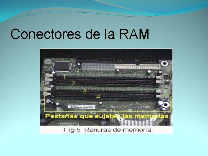 Conectores de la RAM 