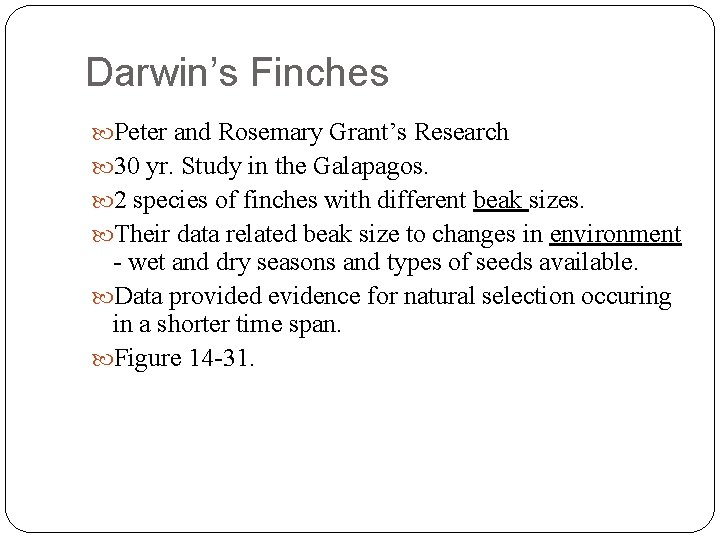 Darwin’s Finches Peter and Rosemary Grant’s Research 30 yr. Study in the Galapagos. 2