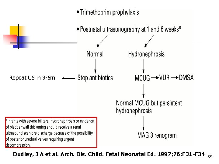 Repeat US in 3 -6 m Dudley, J A et al. Arch. Dis. Child.