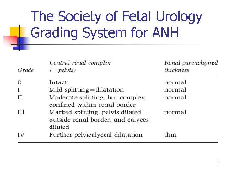 The Society of Fetal Urology Grading System for ANH 6 
