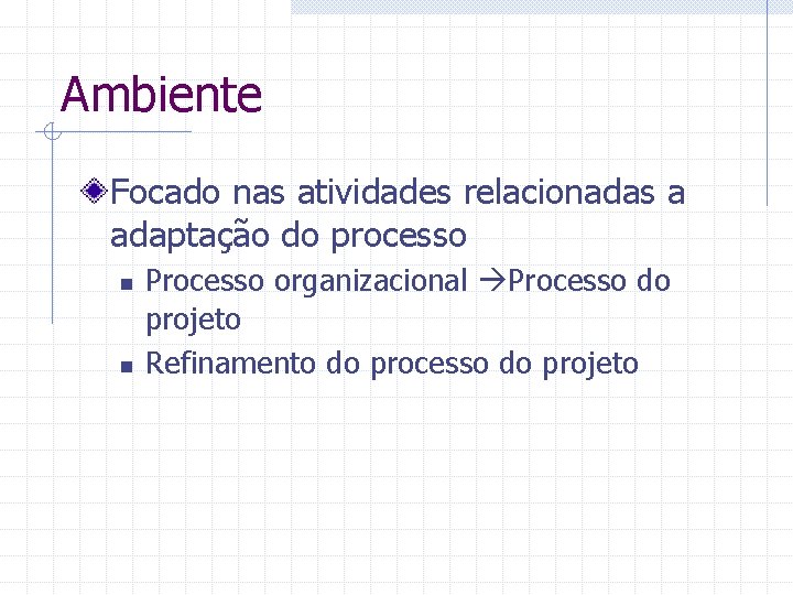 Ambiente Focado nas atividades relacionadas a adaptação do processo n n Processo organizacional Processo