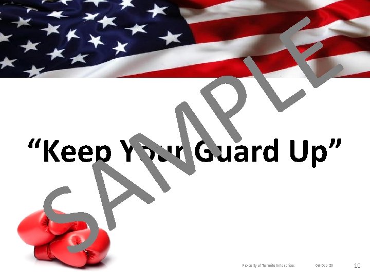 E L P M A “Keep Your Guard Up” S Property of Termite Enterprises