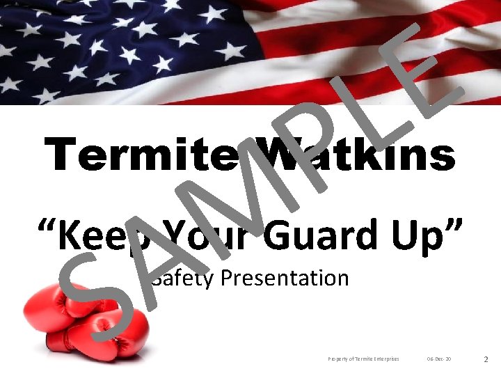 E L P M A Termite Watkins “Keep Your Guard Up” S Safety Presentation