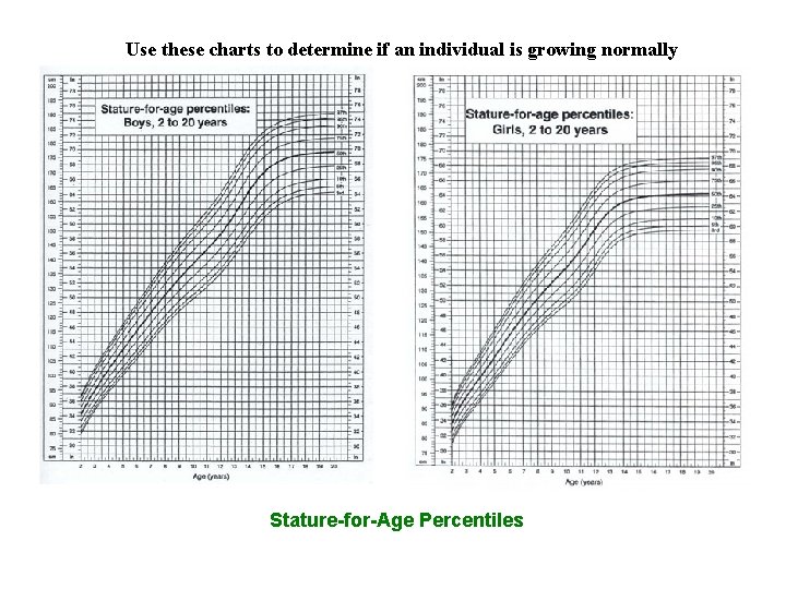 Use these charts to determine if an individual is growing normally Stature-for-Age Percentiles 