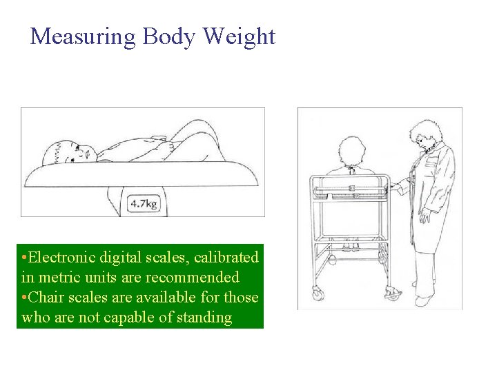 Measuring Body Weight • Electronic digital scales, calibrated in metric units are recommended •