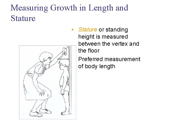 Measuring Growth in Length and Stature • Stature or standing height is measured between