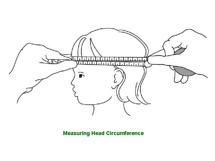 Measuring Head Circumference 