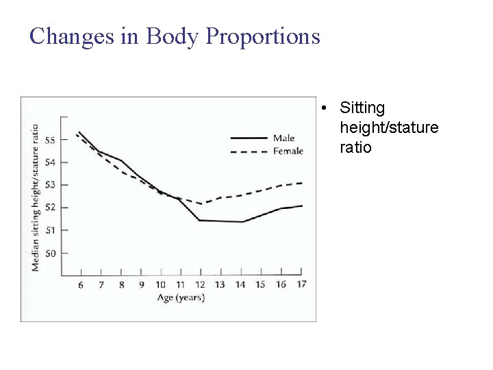 Changes in Body Proportions • Sitting height/stature ratio 