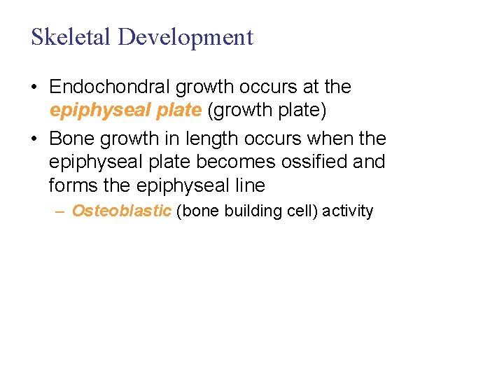 Skeletal Development • Endochondral growth occurs at the epiphyseal plate (growth plate) • Bone