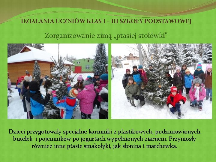 DZIAŁANIA UCZNIÓW KLAS I – III SZKOŁY PODSTAWOWEJ Zorganizowanie zimą „ptasiej stołówki” Dzieci przygotowały