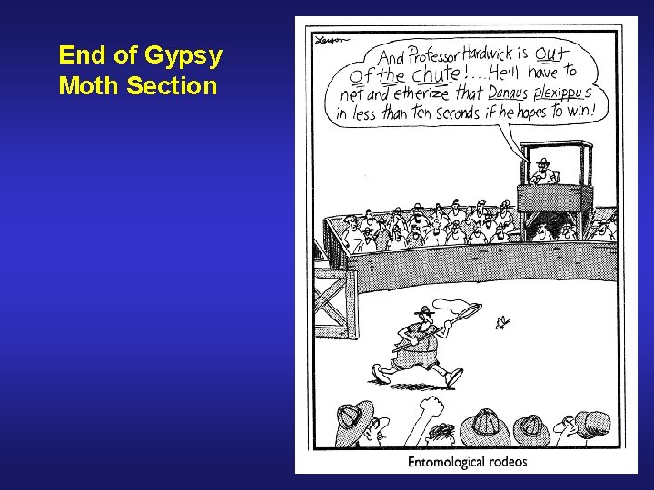 End of Gypsy Moth Section 