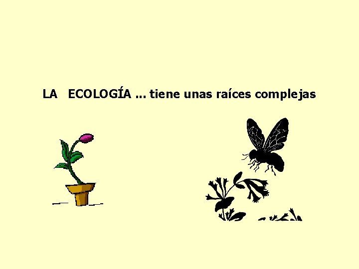 LA ECOLOGÍA. . . tiene unas raíces complejas 