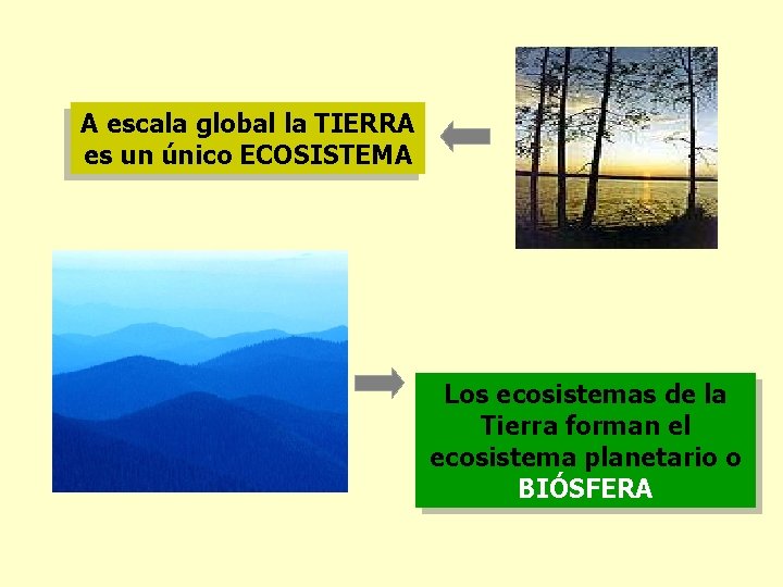 A escala global la TIERRA es un único ECOSISTEMA Los ecosistemas de la Tierra