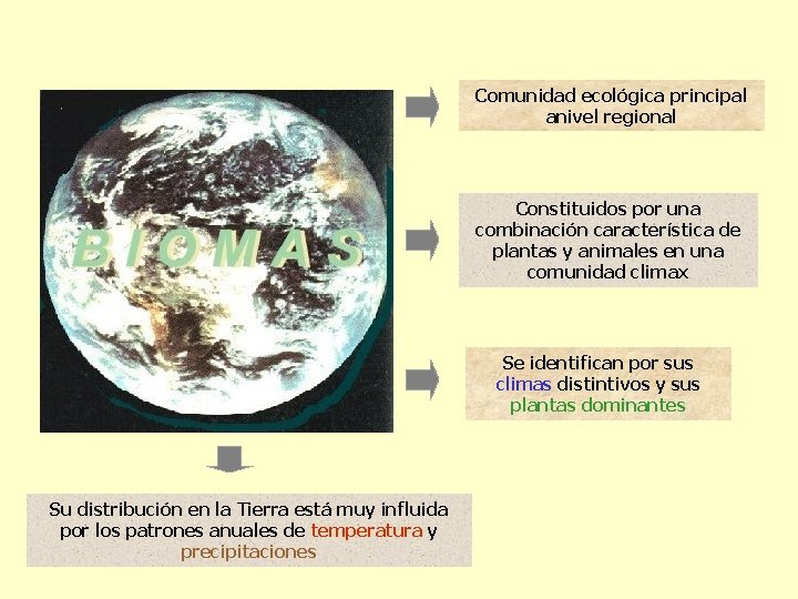 Comunidad ecológica principal anivel regional Constituidos por una combinación característica de plantas y animales