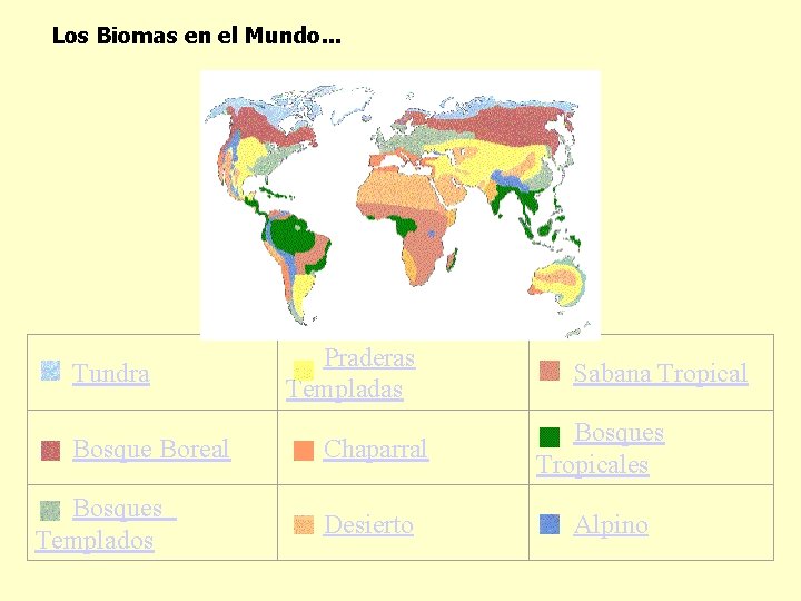 Los Biomas en el Mundo. . . Tundra Praderas Templadas Sabana Tropical Bosque Boreal