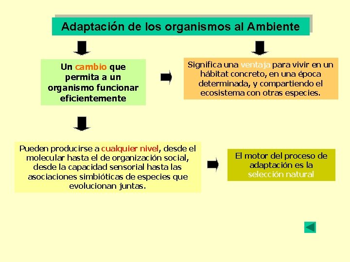 Adaptación de los organismos al Ambiente Un cambio que permita a un organismo funcionar