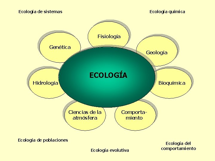 Ecología de sistemas Ecología química Fisiología Genética Geología ECOLOGÍA Hidrología Bioquímica Ciencias de la